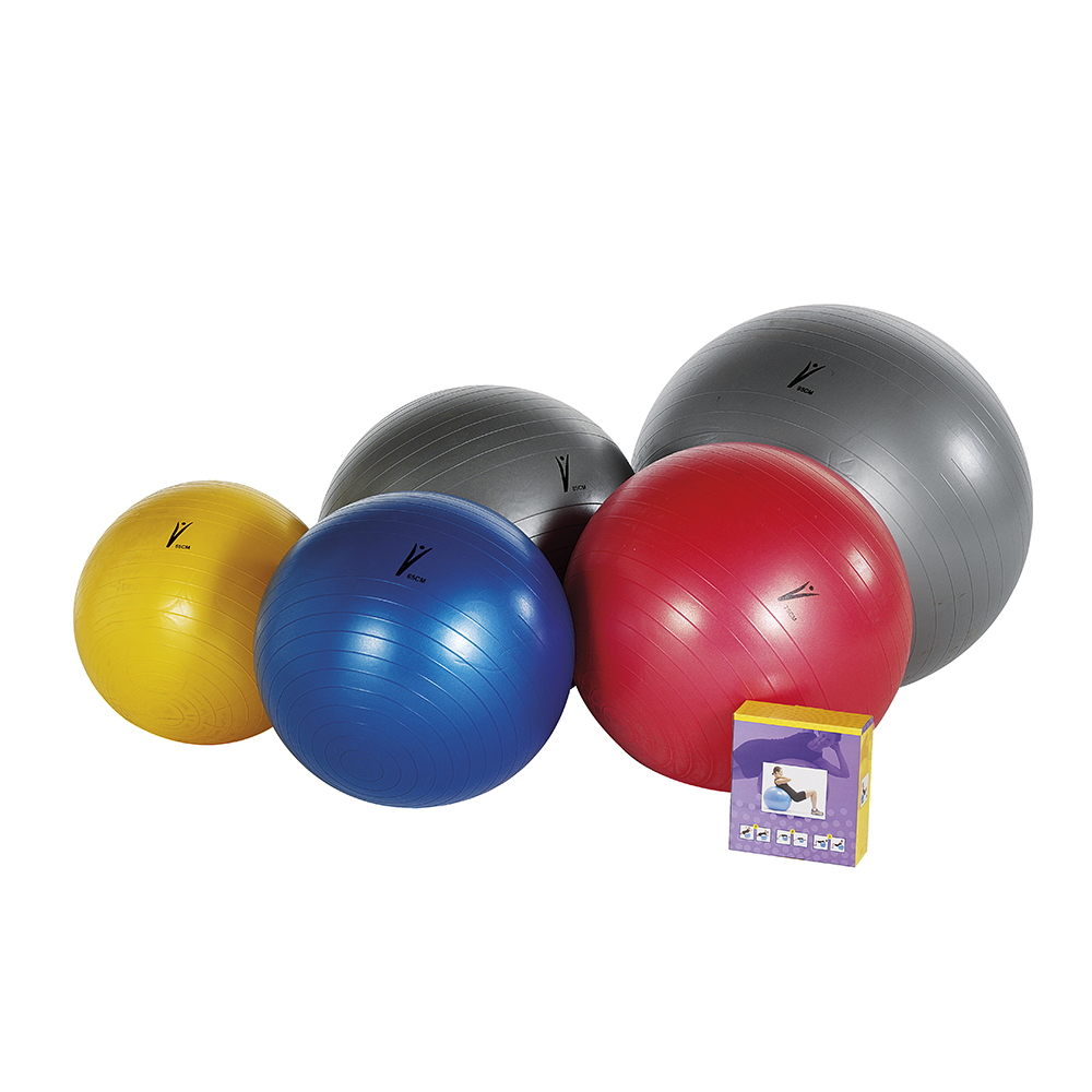 ART. 6131 - 6132 - 6133 - 6134 - 6135  PSYCHOMOTOR BALL