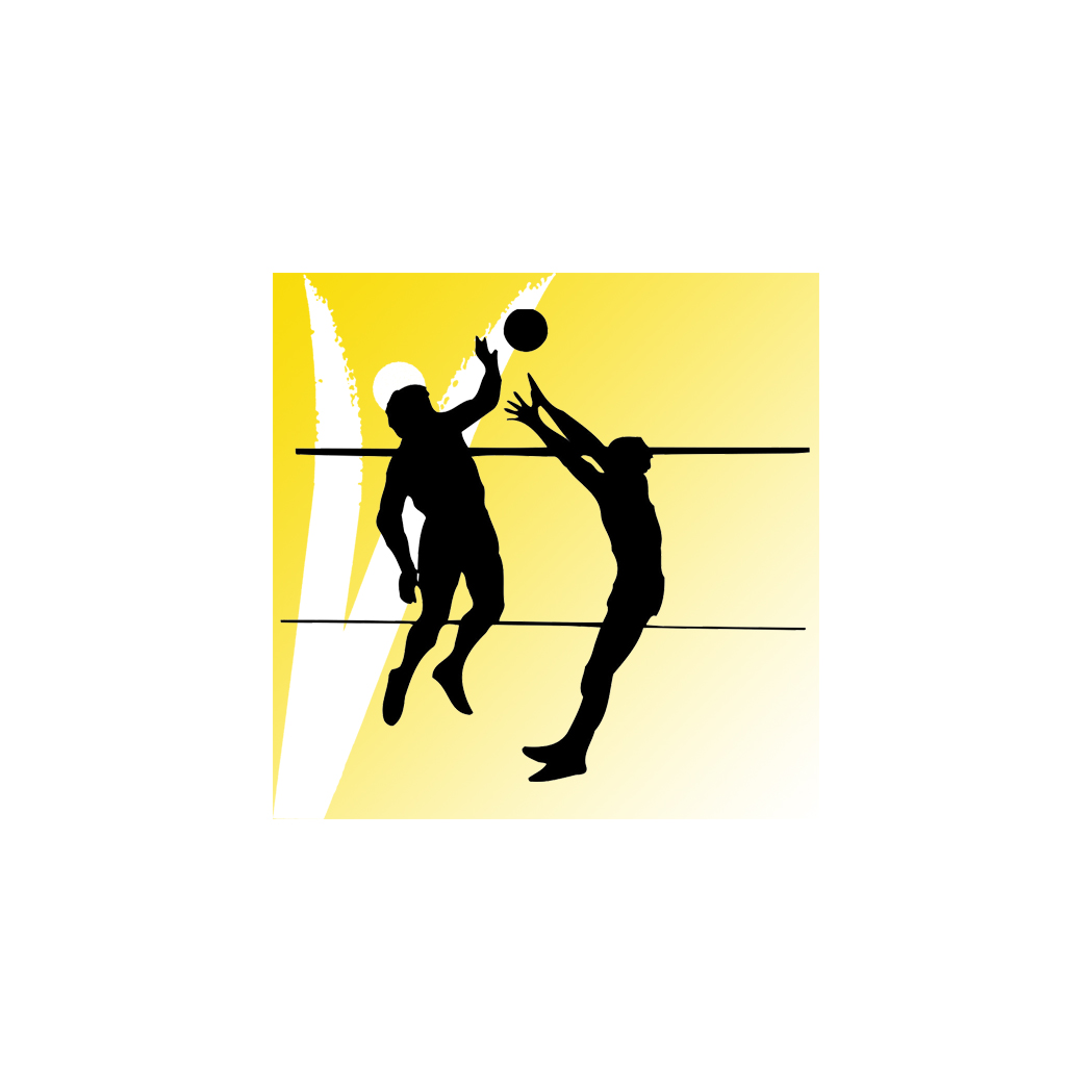 ART 2720  VOLLEYBALL ELECTRONIC DEVICE TIME OUT - PLAYERS CHANGE